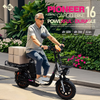 Pioneer 16