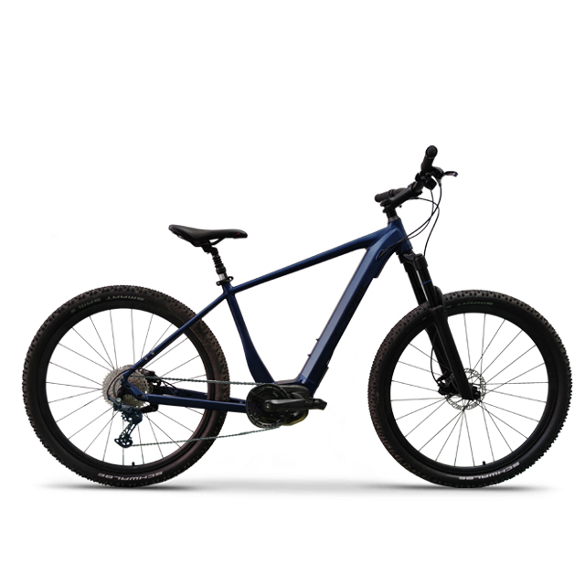 2022 European Exhibition 700C City Bike