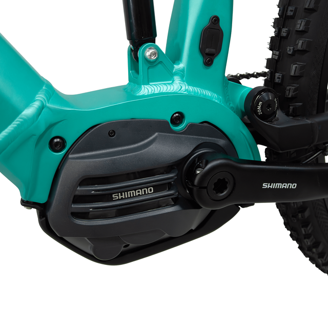Tamer pro 29 