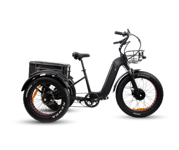 Electric Tricycles1