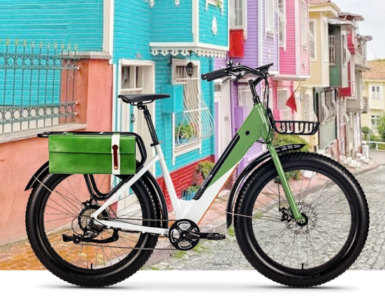 Scenarios and Types of E-Bikes1