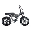 E fat bike