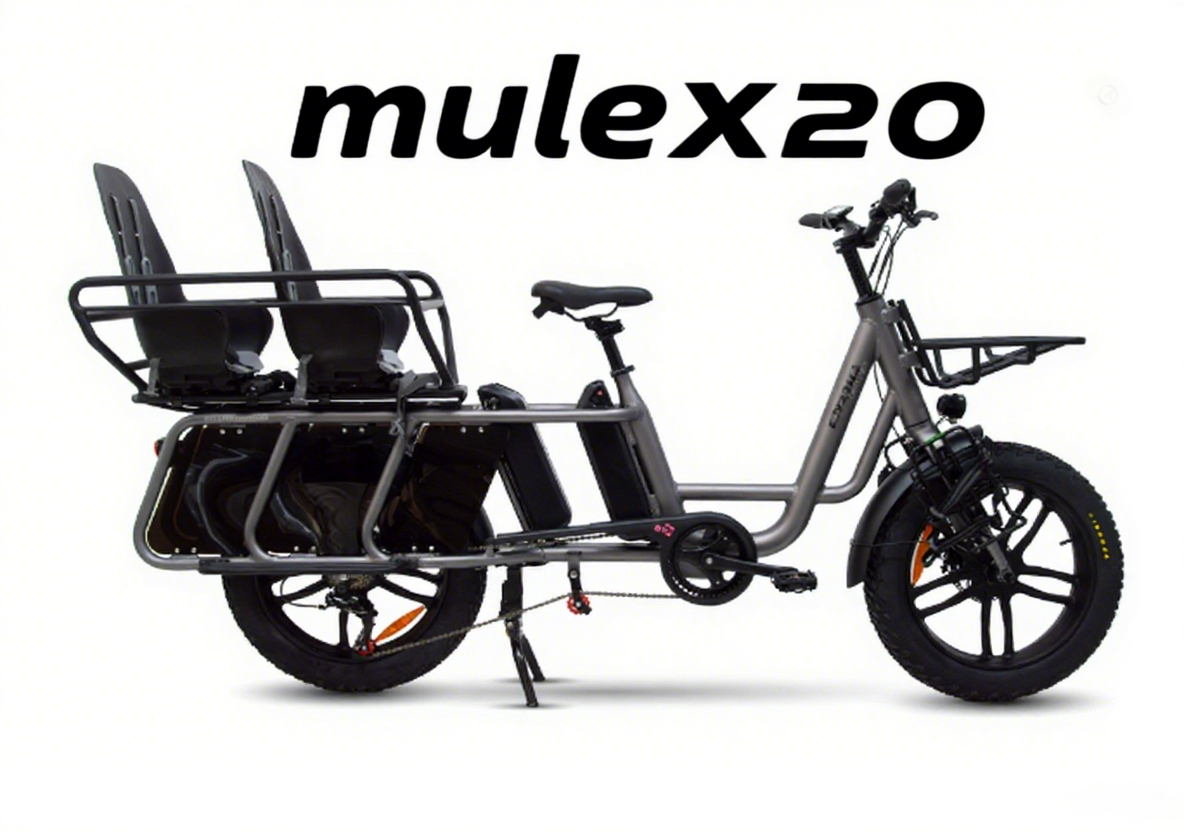 muleX20