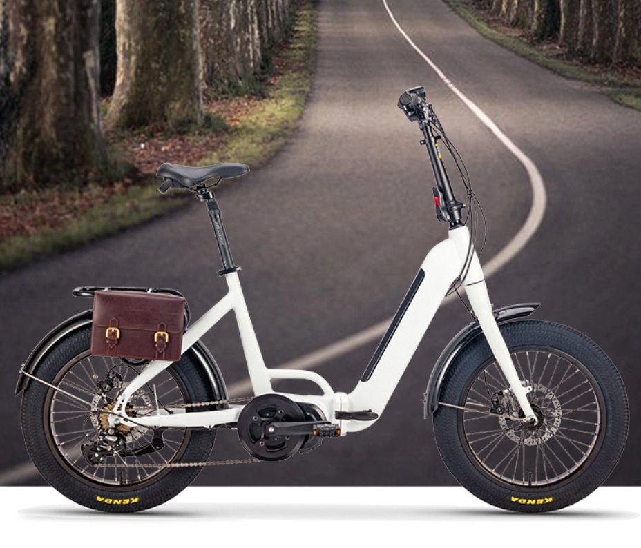 fat-tire e-bike