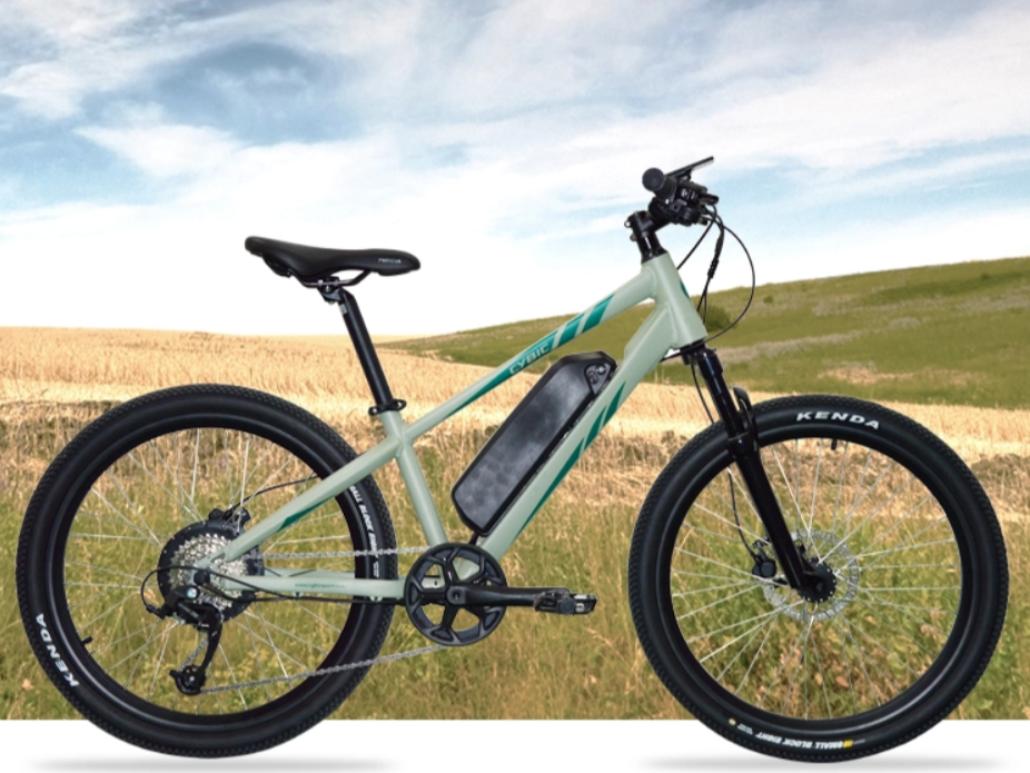 Discover the 24-Inch Mountain E-Bike: Your Ultimate Riding Companion