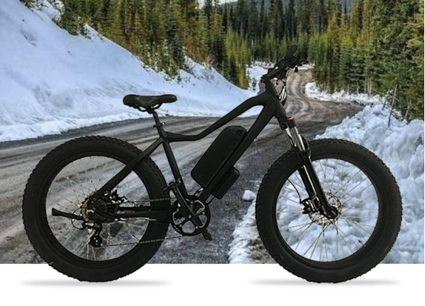 Scenarios and Types of E-Bikes3 (2)