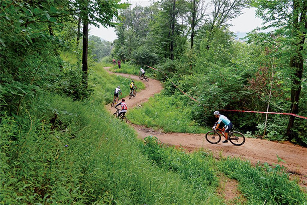 42-2-electric mountain bike