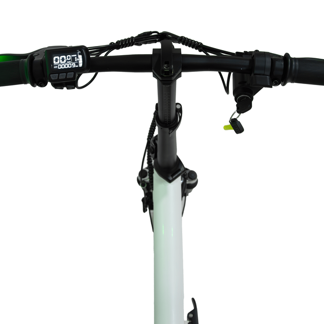 scanina mini14