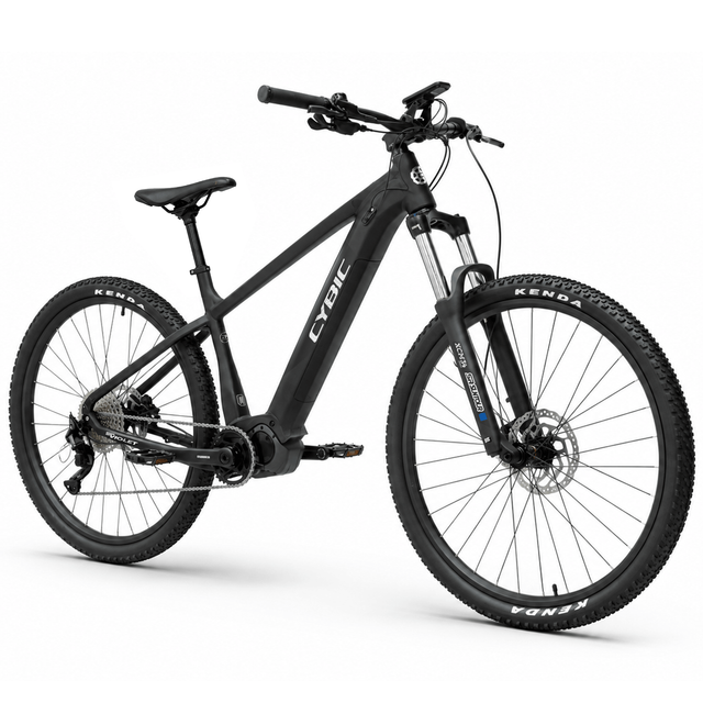 VIOLET 29”