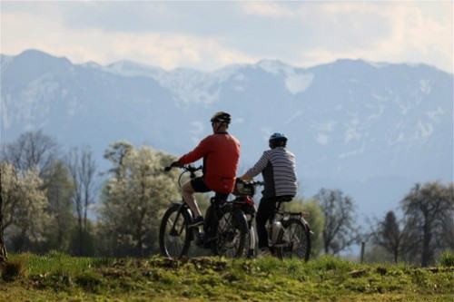 65-2-all electric bike