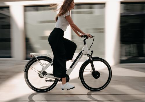 71-2-electric assist mountain bike