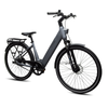SKY RIDER pro 700c