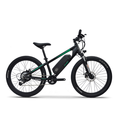 EUROBIKE 24'' MINI Emtb Good for 