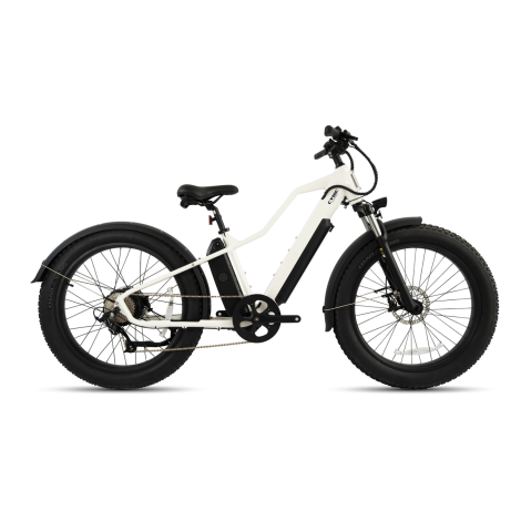 Scenarios and Types of E-Bikes2