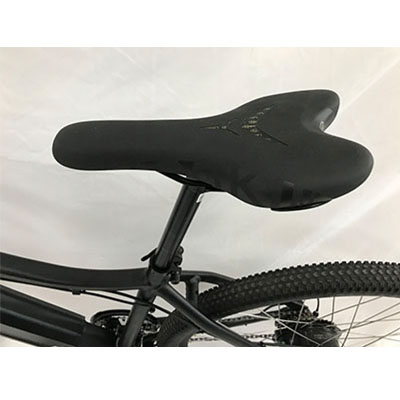 saddle