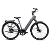 SKY RIDER pro 700c