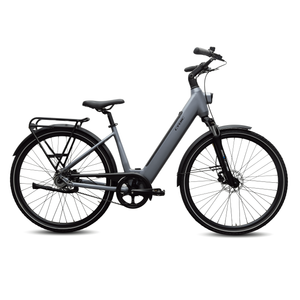 SKY RIDER pro 700c