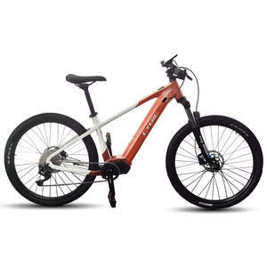 VIOLET 700c