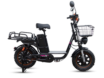 Do Electric Bicycles Need License